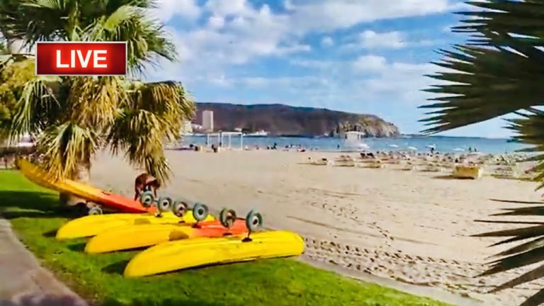 🔴LIVE: Los Cristianos walk & chat-THE BEDS ARE BACK on Tenerife beaches ☀️