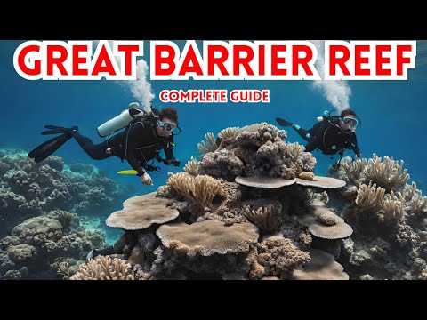 🐠 Explore The Great Barrier Reef Australia